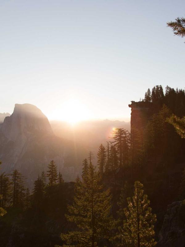 Cappotto Chester Field - dettaglio