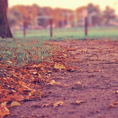 Avatar di Alessio Romano